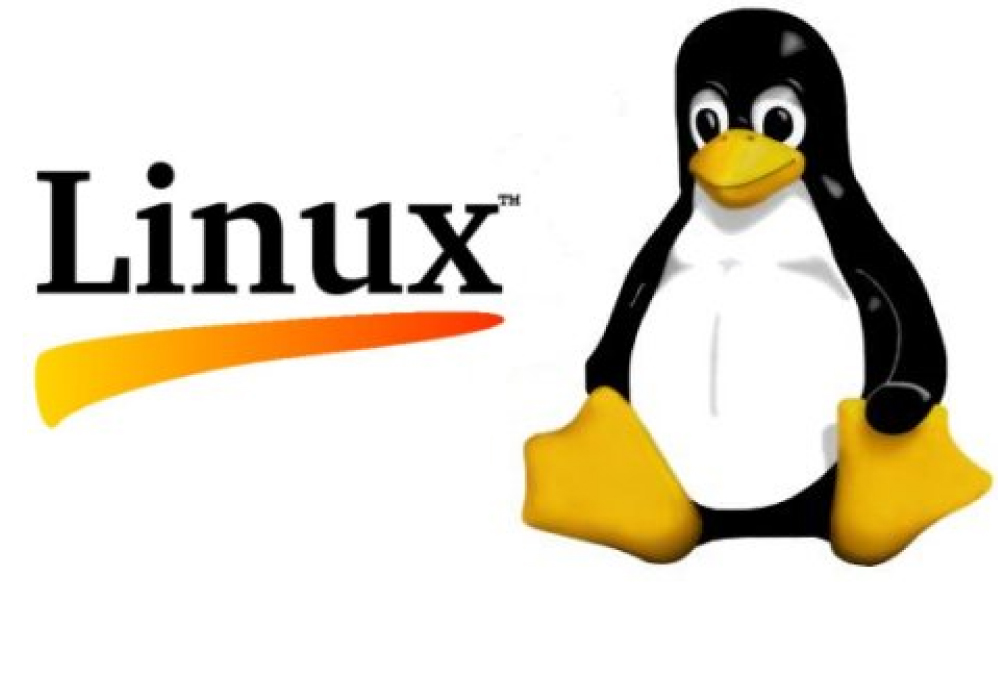 linux dan networking