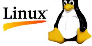 linux dan networking